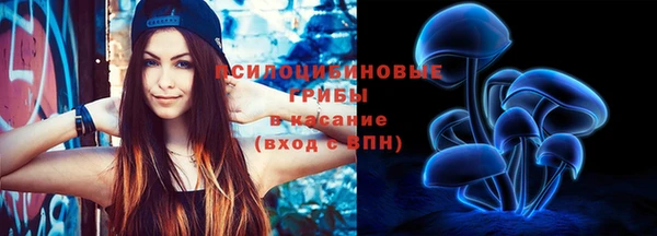 прущие грибы Бугульма