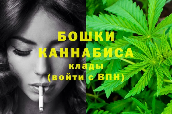 кокс Бородино