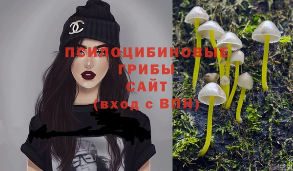 стаф Беломорск