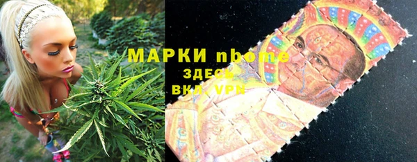 крисы Бронницы