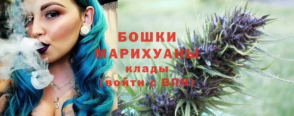 крисы Бронницы