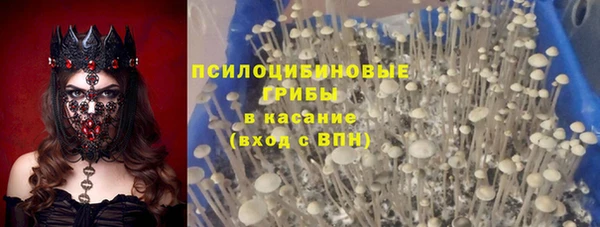 прущие грибы Бугульма