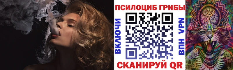 цены   Володарск  Псилоцибиновые грибы MAGIC MUSHROOMS 